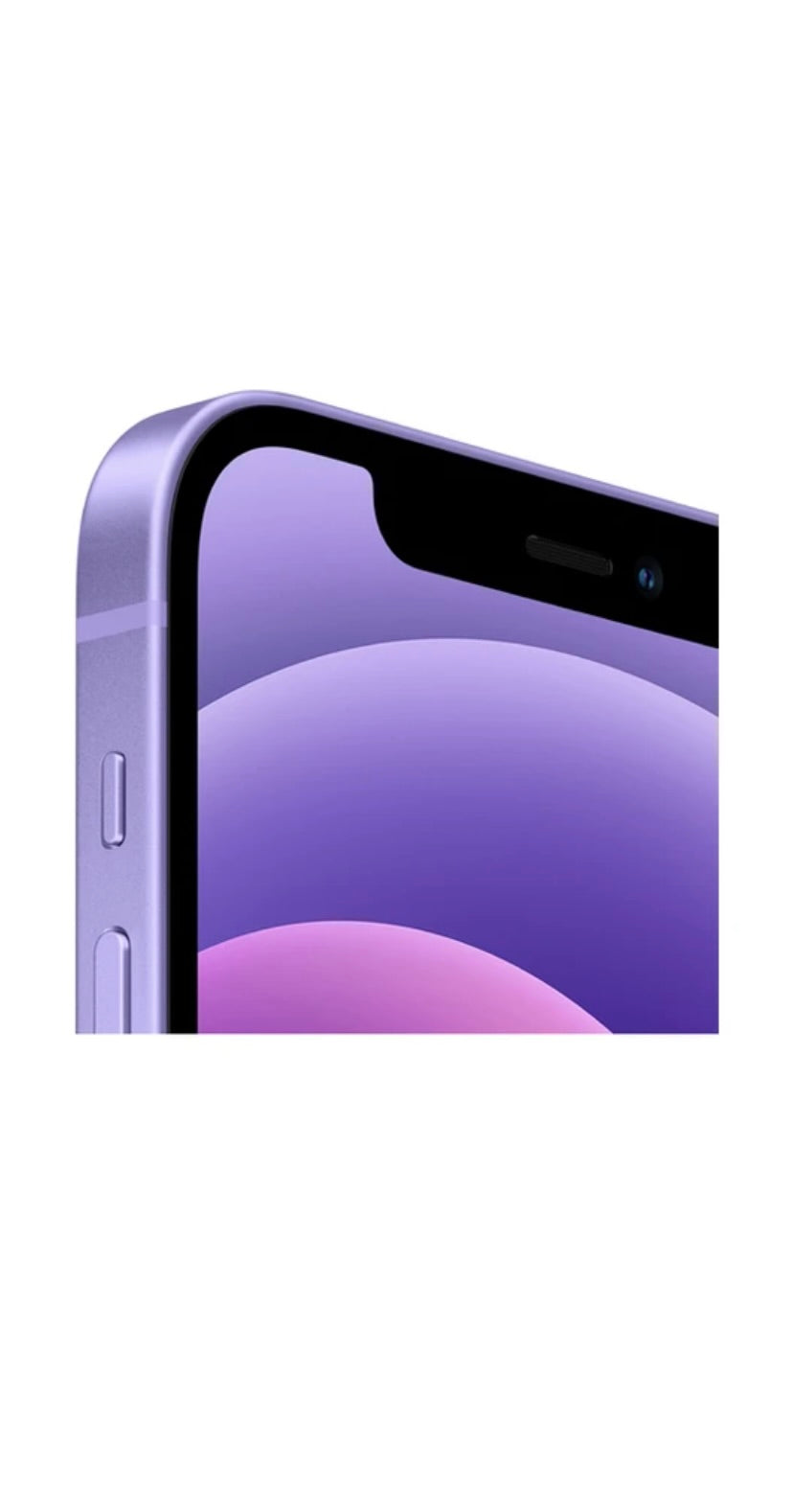 Apple iPhone 11 Purple 4GB RAM, 64GB ROM (1 Year Seller Warranty Support)